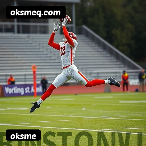 FAQ oksme Brasil - Perguntas frequentes sobre bônus, PIX, RTP, APP mobile e VIP